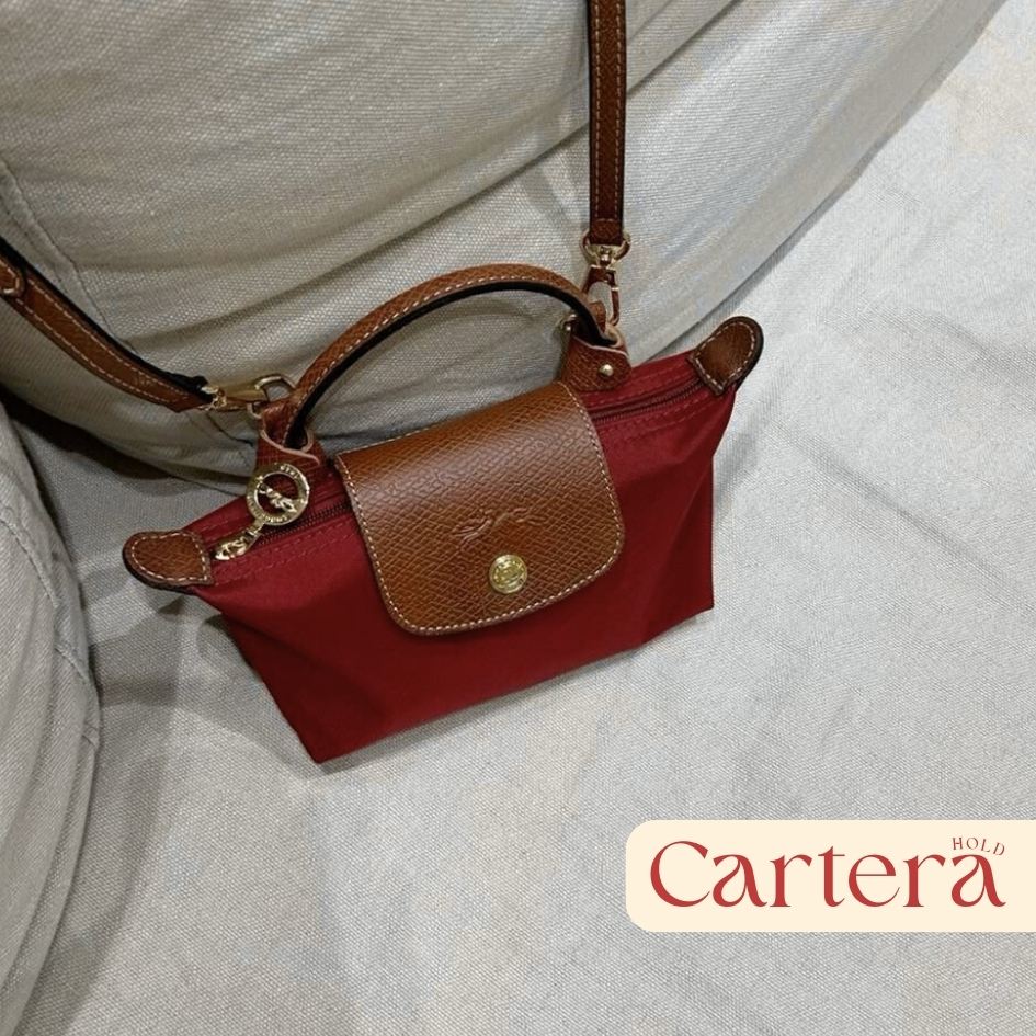 Mini Longchamp