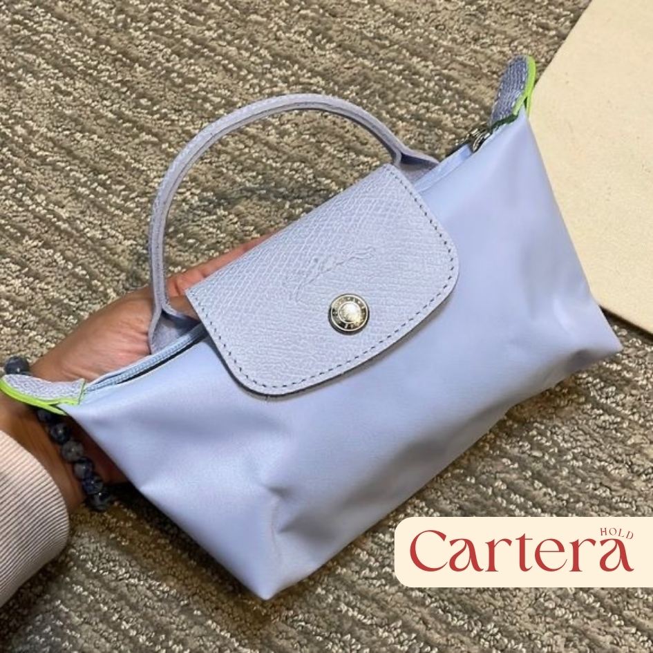 Mini Longchamp