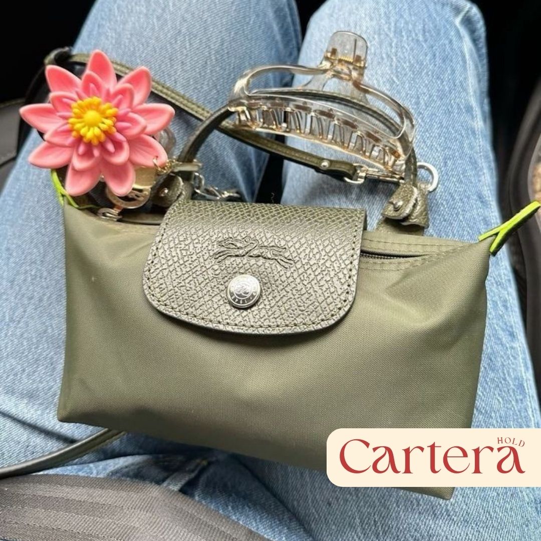 Mini Longchamp