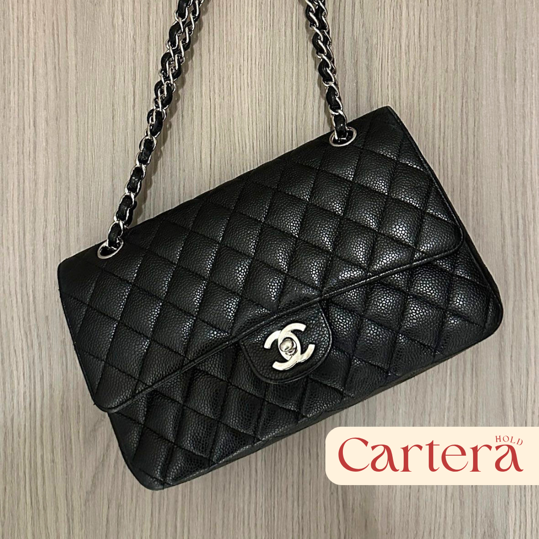 Chanel Classic Double Flap bag
