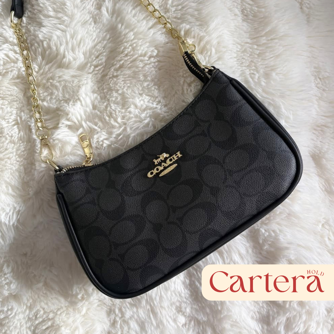 Coach Teri Shoulder Bag